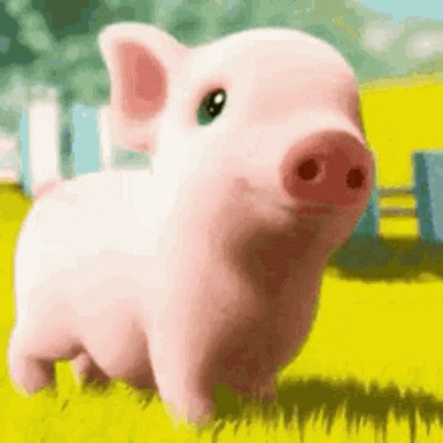 Cute Pig Pink Pig GIF