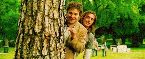 Pineapple Express GIF