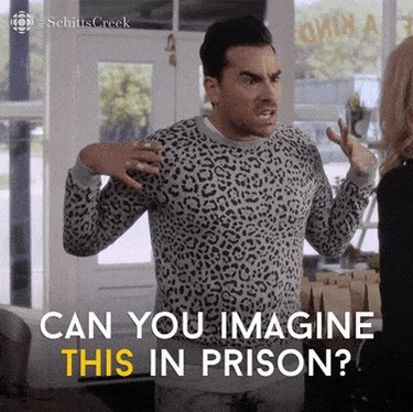 imagine schitts creek GIF by CBC