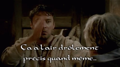 Kaamelott Tavernier GIF
