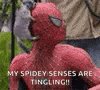 Spiderman Squirrel GIF