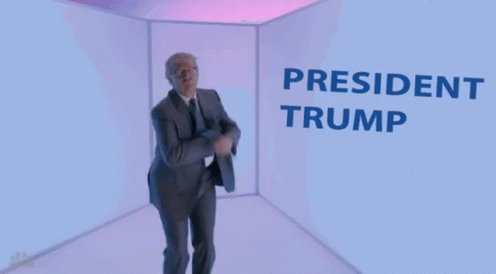 President Trump GIF