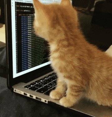 Bashing my head against Visual Studio https://t.co/vncpaNMoGU