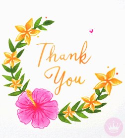 Thanks Thank You GIF by Hallmark eCards