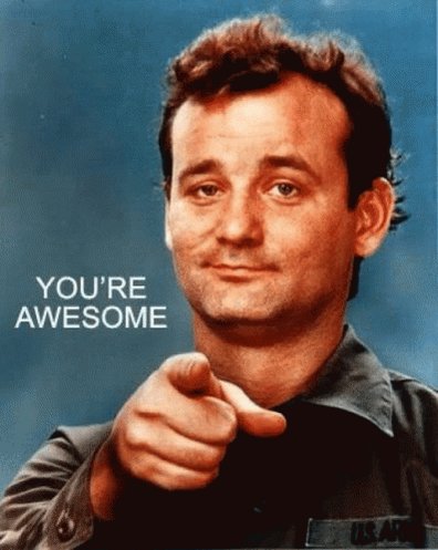Awesome Youre Awesome GIF