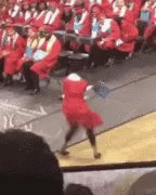 Graduation Happy GIF