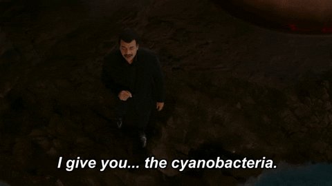 Neil Degrasse Tyson Cyanoba...