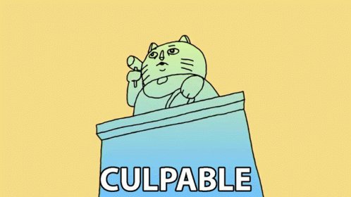 Culpable Miau GIF