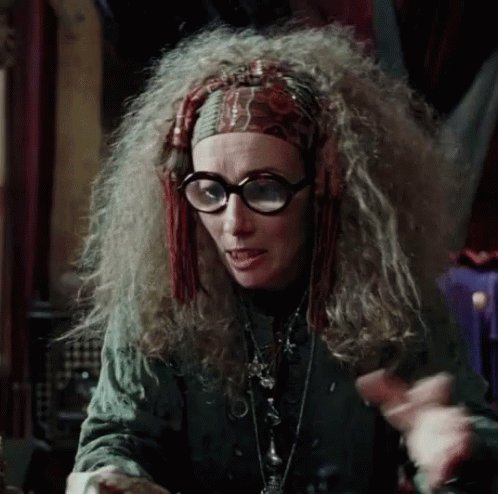 Harry Potter Sibilla Cooman GIF