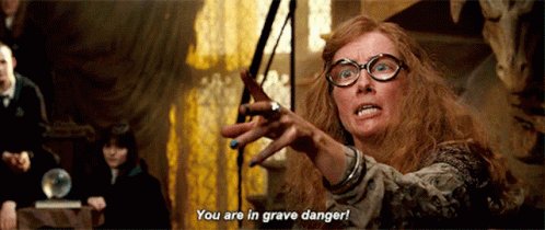 You Are In Grave Danger Harry Potter GIF