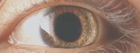 eye watching GIF by Kacey M...