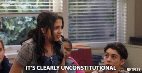 Its Clearly Unconstitutional Cree Cicchino GIF