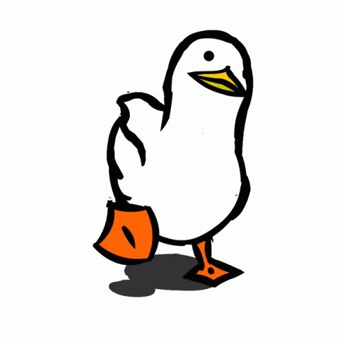 Bird Dance GIF