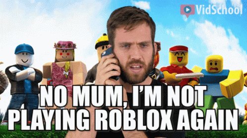 Roblox Vidschool GIF