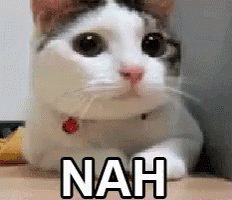 Nah Cute Cat GIF