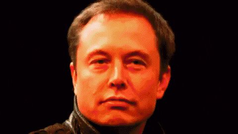 Cryptocurrency Elon Musk Funny GIF by Bitcoin & Crypto Creat