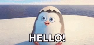Hello Penguin GIF