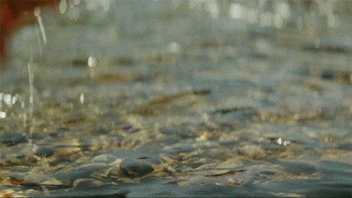 Scooping Water Bunt GIF