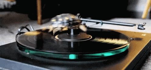 Turtle Vinyl GIF