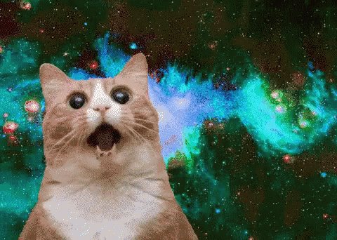 Cat Space GIF