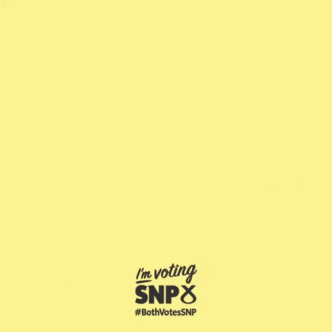 Nicola Sturgeon Vote GIF by...