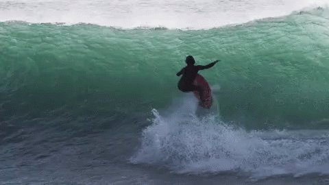 Surfing GIF