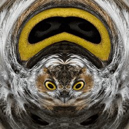 distort angry birds GIF by ...