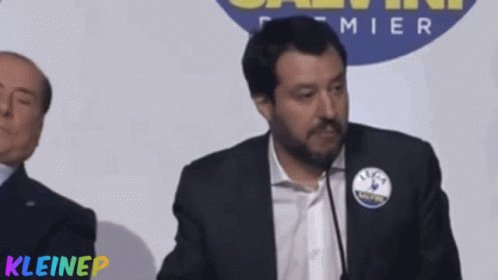 Salvini Berlusconi GIF