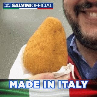 Salvini Salvinigif GIF