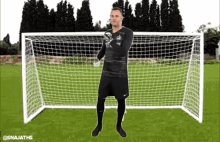 Handanovic GIF