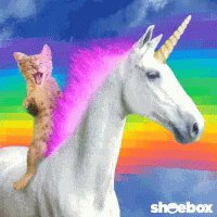 Cat Unicorn GIF