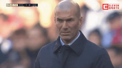 Zinedine Zidane GIF