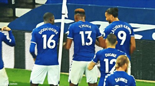 Everton Everton FC GIF