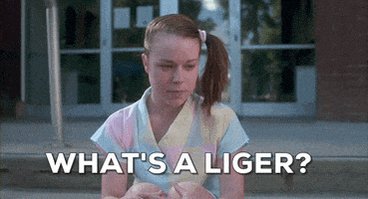 Happy Birthday Tina Majorino (Deb in Napoleon Dynamite) 