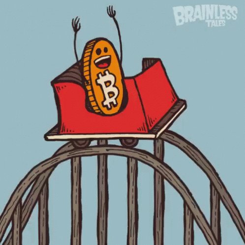 Bitcoin Rollercoaster - Rollercoaster GIF