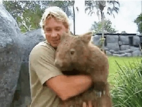 Steve Irwin GIF.