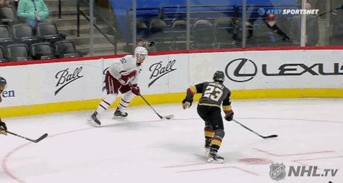 @PR_NHL's photo on Fleury