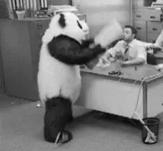 Angry Panda GIF