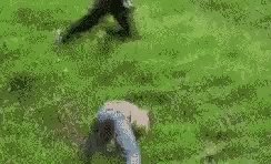 Fall Run GIF