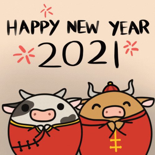 Happy New Year Happy Chinese New Year GIF