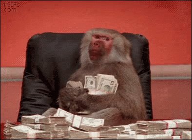 Baboon Money GIF