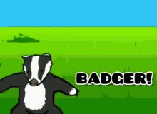 Badger Badger Badger GIF