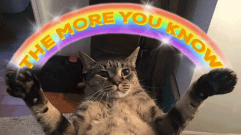 The More You Know Kitty GIF