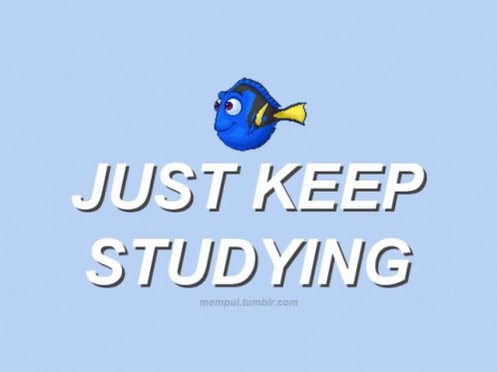 Jut Keep Studying Finals Weeks GIF