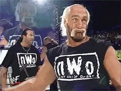 Nwo Hulk Hogan GIF