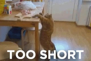 Too Short Cat GIF
