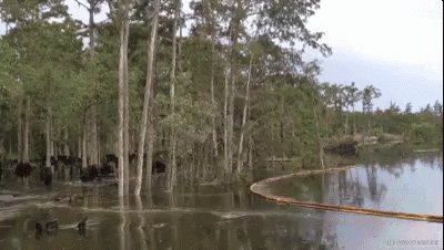 Sink Hole GIF