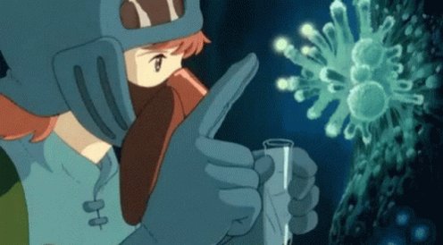 Collecting Anime GIF