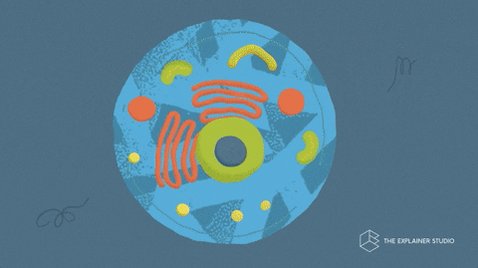 Animation Dna GIF by The Explainer Studio