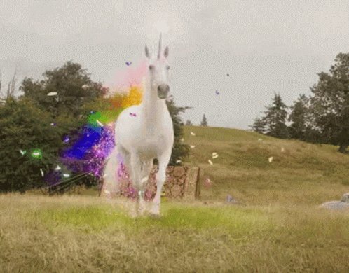 Love Horse GIF